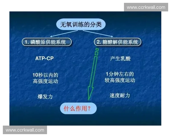 基于多维数据的专业运动表现评测体系与训练优化分析研究方法与应用